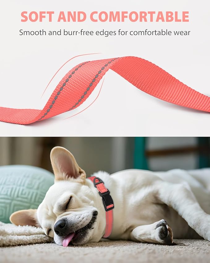 Joytale Small Dog Collar, Reflective and Adjustable Nylon Collar with Quick-Release Buckle, Lightweight No-Choke Design for Small Dogs, Pink, 3/4" Width