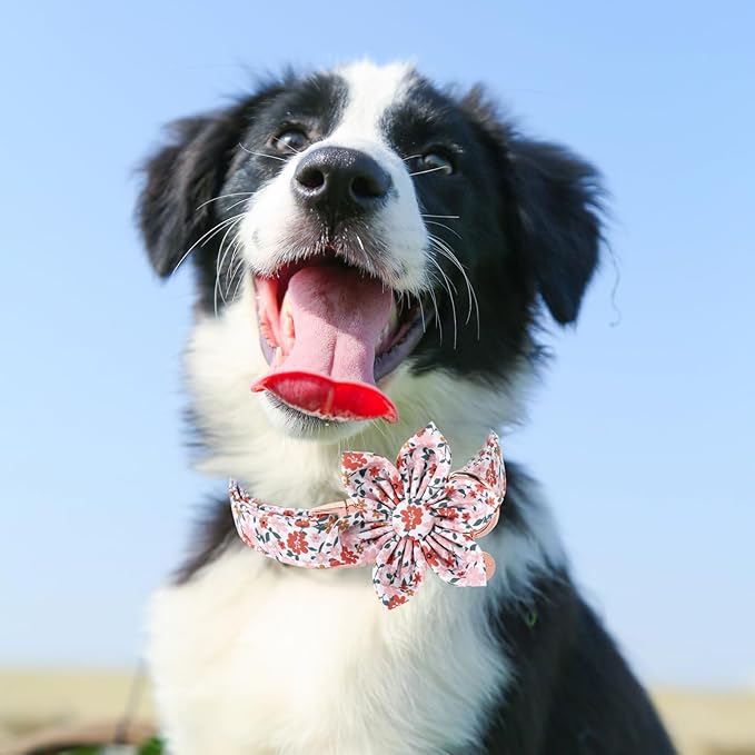 Cute Flower Dog Bowtie Collar, Detachable Flower Bow Puppy Collar with Metal Buckle for Dogs, Medium, Pink