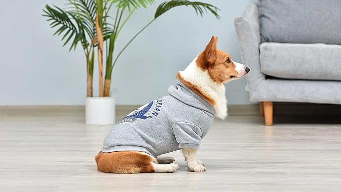 STAR WARS for Pets The Mandalorian Hoodie for Dogs with Leash Attachment Hole, Extra Large| STAR WARS Apparel for Dogs | Cozy Hooded Sweatshirt for Dogs, Gifts for STAR WARS Fans Grey