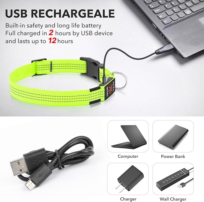 Illumifun LED Dog Collar, Rechargeable Light Up Collars, Reflective Safety Collar Light for Nighttime Walking Camping (Greenā
¢, Medium)