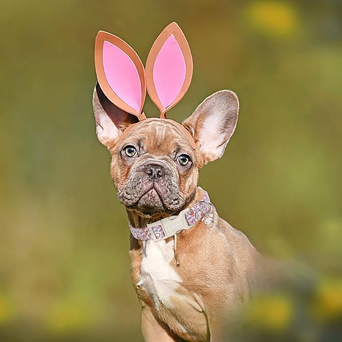 Lionet Paws Easter Dog Collar- Cute Pink Rabbit Eggs Dog Collars with Plastic Buckle, Light Adjustable Dog Samll Collars with Rabbit Pendant for Small Dogs