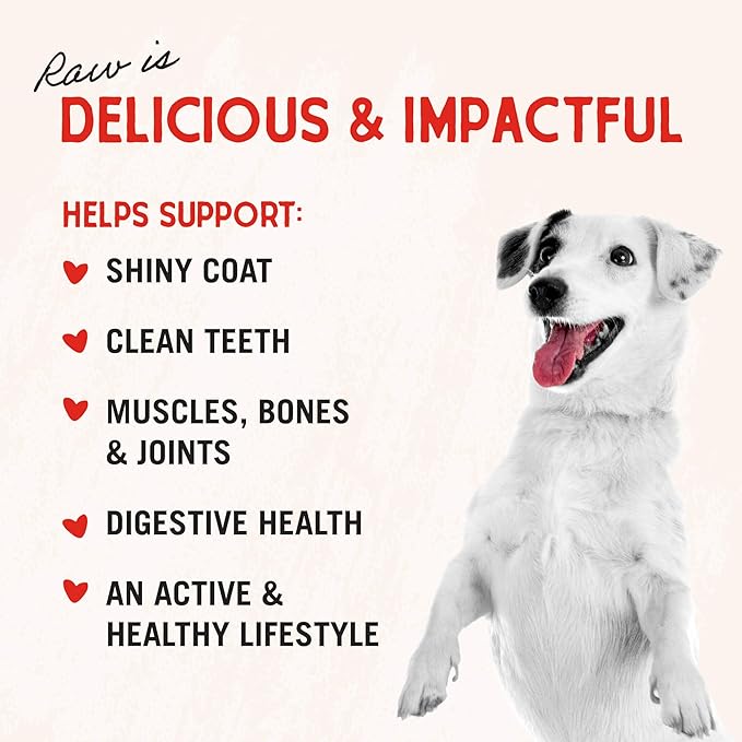 Stella & Chewy's Freeze-Dried Raw Chicken Breast Dog Treats - Single Ingredient, No Additives - Premium Training Treats - Perfect For Picky Eaters - 2.75oz Bag