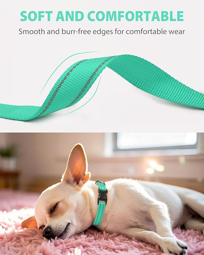 Joytale Small Dog Collar, Reflective and Adjustable Nylon Collar with Quick-Release Buckle, Lightweight No-Choke Design for Puppy and Extra Small Dogs, Teal, XS