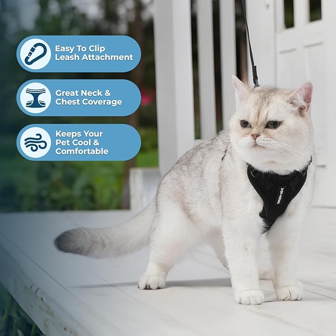 Voyager Step-in Lock Adjustable Cat Harness w. Cat Leash Combo Set with Neoprene Handle 5ft - Supports Small, Medium and Large Breed Cats by Best Pet Supplies - Black, XS