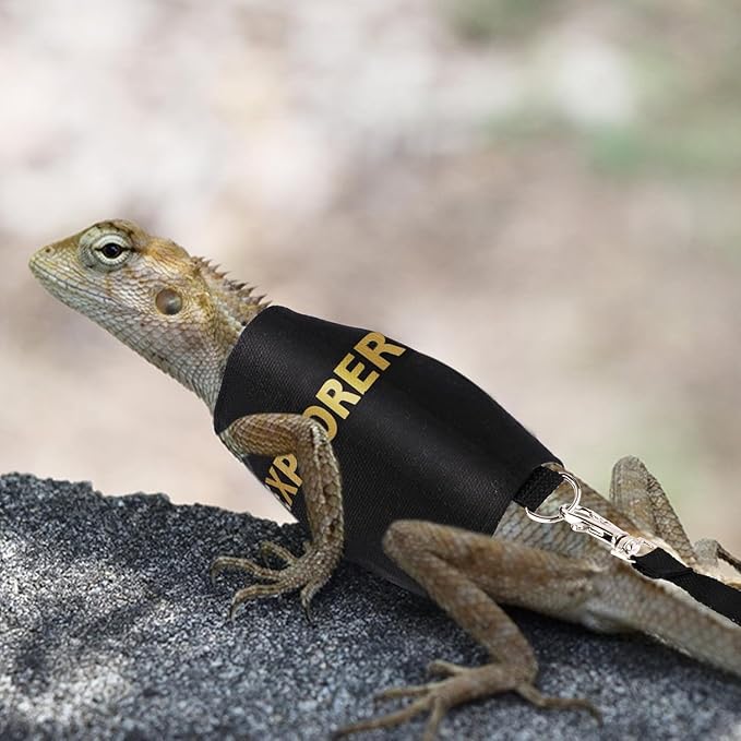 Bearded Dragon Carrier Backpack with Security Printing Harness Leash Set, Reptile Lizard Space Capsule Astronaut Clear Bubble Window Travel Carrier for Small Animal Guinea Pig (Black, Explorer)