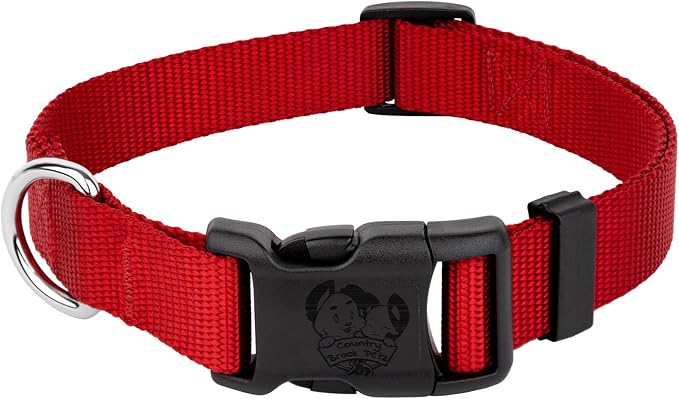 Country Brook Petz - American-Made Dog Collar for Large, Medium, and Small Dogs and Puppies - Deluxe Heavy Duty Nylon in 33 Dazzling Colors (Large, 1 Inch Wide, Red)