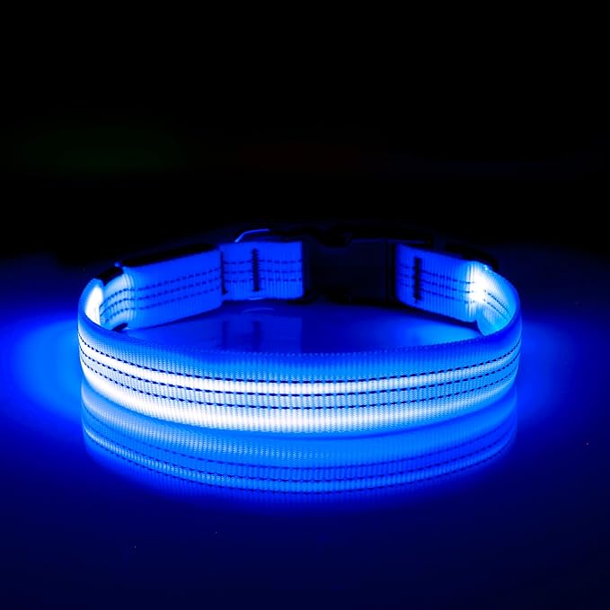 Illumifun LED Dog Collar, Reflective Light Up Collars for Small Dog, USB Rechargeable Pet Collar Light for Dogs Walking Camping (BlueⅢ, Small)