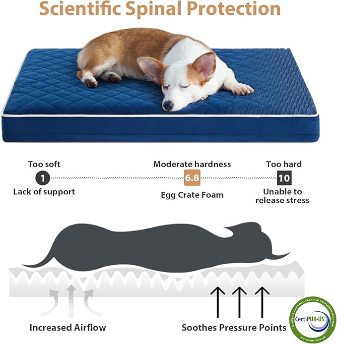 WNPETHOME Orthopedic Dog Bed for Large Dogs, Extra Large Waterproof With Removable Washable Cover & Anti-Slip Bottom, Egg Crate Foam Pet Mat, Multi-Needle Quilting XL Crate Bed