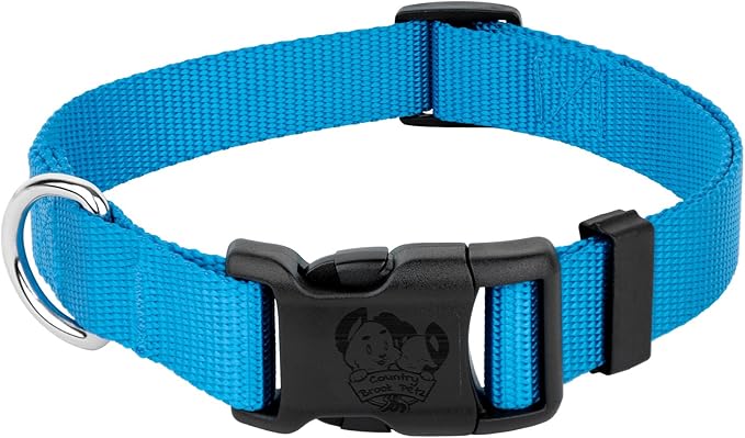 Country Brook Petz - American-Made Dog Collar for Large, Medium, and Small Dogs and Puppies - Deluxe Heavy Duty Nylon in 33 Dazzling Colors (2XS, 3/8 Inch Wide, Ice Blue)