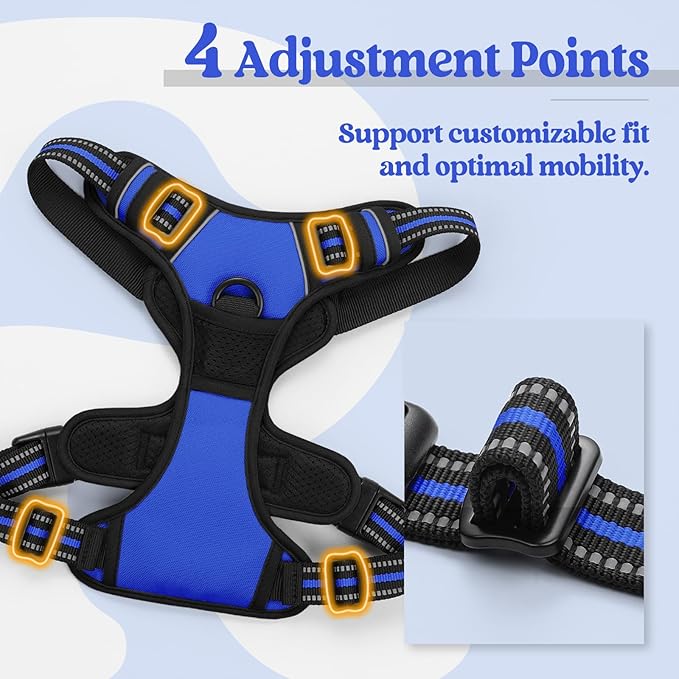 rabbitgoo Dog Harness No Pull with 2 Leash Clips, Adjustable Soft Padded, Reflective Oxford No Choke Pet Vest with Easy Control Handle for Large Dogs, Dazzling Blue, L