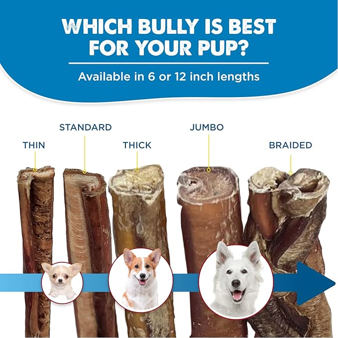 Best Bully Sticks 6 Inch Bully Sticks for Dogs - 5 Count (Pack of 1) - All-Natural, Easily Digestible, 100% Grass-Fed Beef, Grain and Rawhide Free - Trial Size