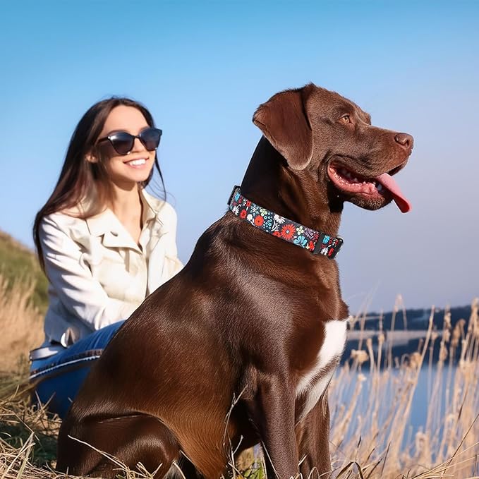 Timos Dog Collar, Adjustable Soft Dog Collar for Small Medium Large Dogs,Print Patterned Puppy Collars with Quick Release Buckle for Boy and Girl Female Dogs,M Length 13.39''-20.87''