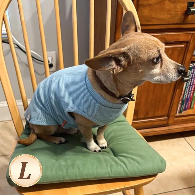 KYEESE 2Pack Dog Shirts Waffle for Small Dogs Stretchy Pet T-Shirts Lightweight Dog Tank Top Sleeveless Dogs Vest Breathable, Large, Blue+Grey