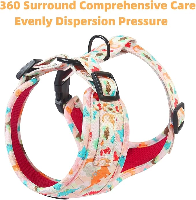 Adjustable Dog Harness and Leash Set for Girl Air Mesh Dog Vest Harness 5Ft Dog Training Leash with Soft Handle Pet Escape Proof for Small Medium Large Dogs (Dinosaur, M)