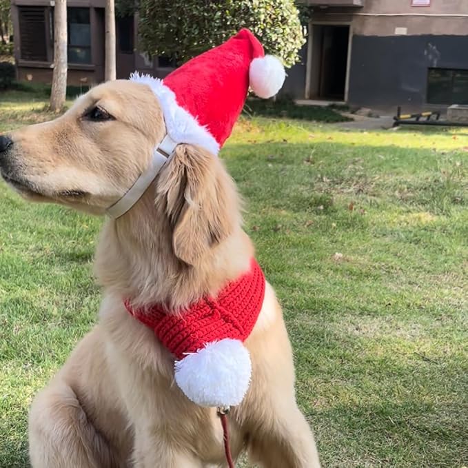 ANIAC Dog Santa Hat with Scarf Kids Xmas Cap Doggy Christmas Costume Pet Warm Headgear and Neck Accessories for Medium Big Dogs and Kids (Large)