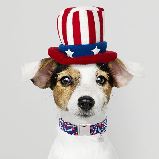 Dog Patriotic Collar, 4th of July, American Flag Dog Collar for Boy Girl Puppy, with Metal Buckle,XL