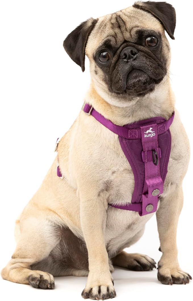 Kurgo Enhanced Strength Tru-Fit Smart Dog Harness, Deep Violet, Small - Crash Tested Car Safety Harness for Dogs, No Pull Dog Harness, Includes Pet Safety Seat Belt Tether, Steel Nesting Buckles
