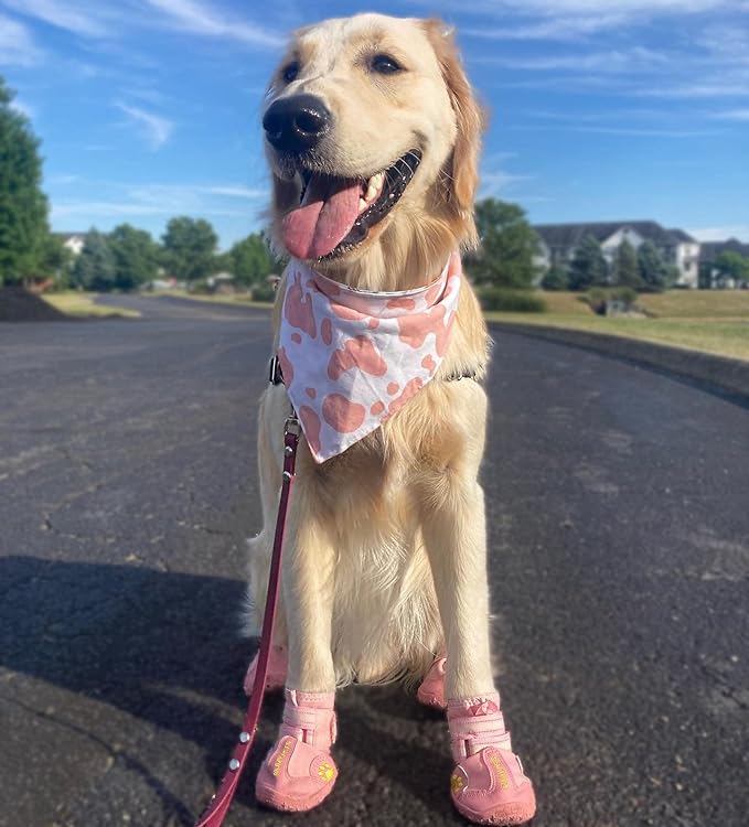 QUMY Dog Shoes for Large Dogs, Medium Dog Boots & Paw Protectors for Winter Snowy Day, Summer Hot Pavement, Waterproof in Rainy Weather, Outdoor Walking, Indoor Hardfloors Anti Slip Sole Pink 7