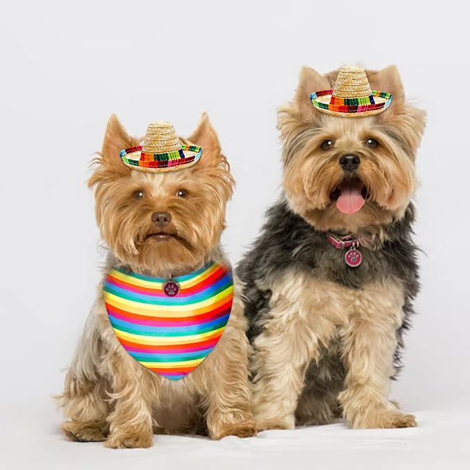 Dog Sombrero Hat and Dog Triangle Scarf Bib, Multicolored Sombrero Costume Rainbow Mouth Towel for Small Pets Mexican Party Decorations