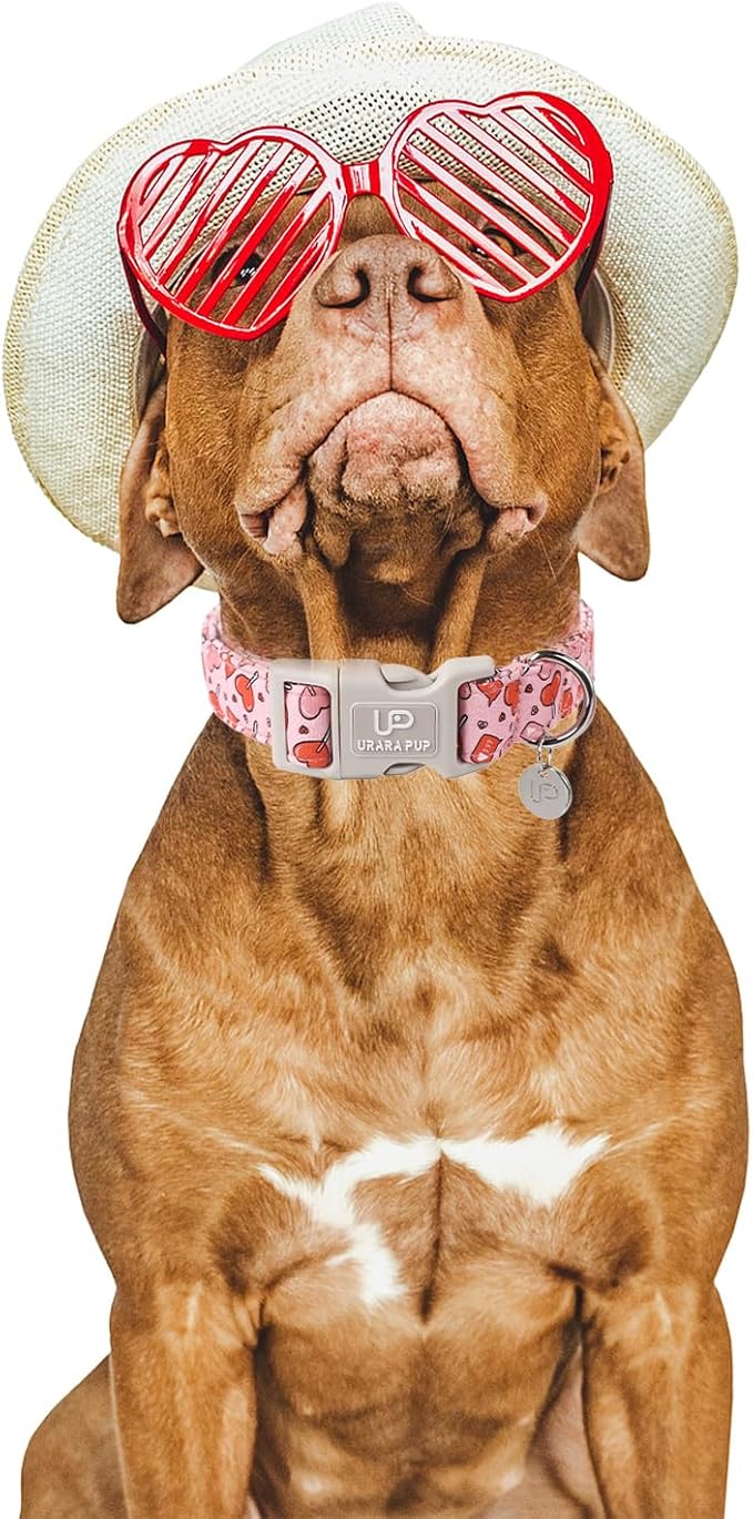Valentine’s Dog Collar, Pink Heart Dog Collar with Quick Release, Valentine’s Gift Pet Collar for Puppy Girl Boy Dog, Wedding Dog Collar