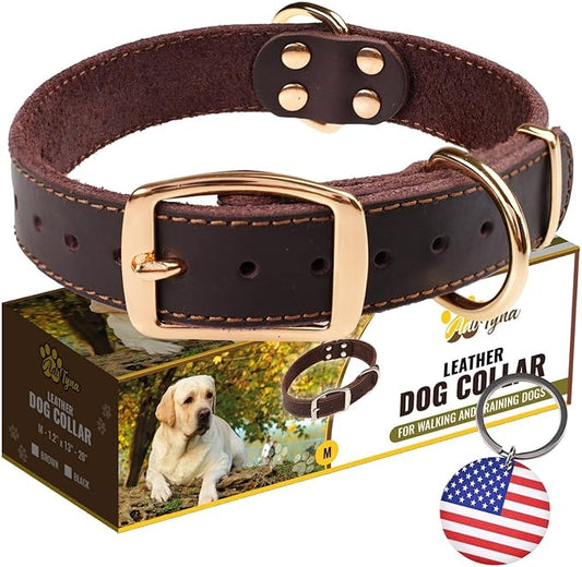 ADITYNA Heavy Duty Leather Dog Collar for Medium Dogs - Soft and Strong Collar for Walking, and Training (Medium: Fit 13" - 20" Neck, Brown - Gold Colored Buckle)