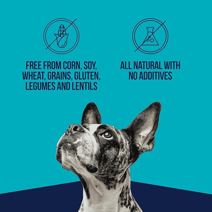 Stewart Single Ingredient Freeze Dried Raw Dog Treats, Chicken Liver, 3 Ounce Resealable Pouch, Training Treats or Meal Topper for All Size Dogs, High Protein, Grain-Free, Gluten-Free