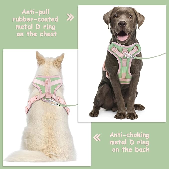 No Pull Dog Harness Adjustable Soft Padded Pet Vest with Control Handle Adorable Daily Harness for Dogs(Mint Green XL)
