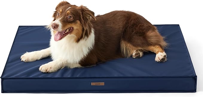 Lesure Outdoor Waterproof Dog Bed for Medium Sized Dogs, Orthopedic Egg Crate Foam Pet Bed with Oxford Fabric Surface and Removable and Durable Cover, Machine Washable, 30''x20'', Navy