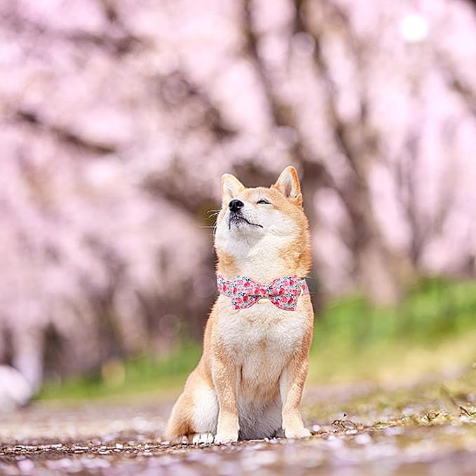 Dog Collar Pink Flowers Print Girl Cute Puppy Collar with Bow Adjustable Metal Buckle Collar Gift Collars for Medium Dogs