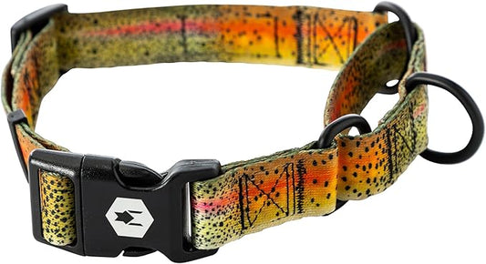 Wolfgang Heavy Duty Martingale Dog Collar with Quick Release Nylon Buckle for Walking & Training, CutBow Print, Small