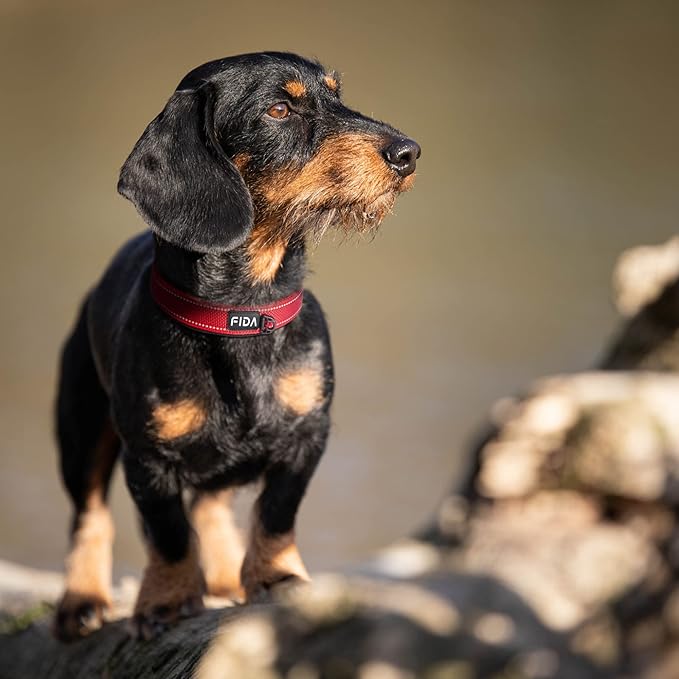 Fida Heavy Duty Dog Collar, Ultra Comfortable Soft Neoprene Padded, Adjustable Reflective Nylon Pet Collar with Durable Metal Belt Buckle for Medium Breeds (M, Red)