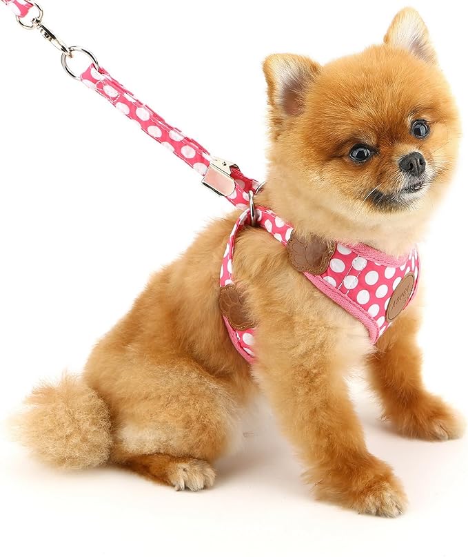 SMALLLEE_LUCKY_STORE New Soft Mesh Nylon Vest Polka Dot Pet Cat Small Medium Dog Harness Dog Leash Set Leads Pink S