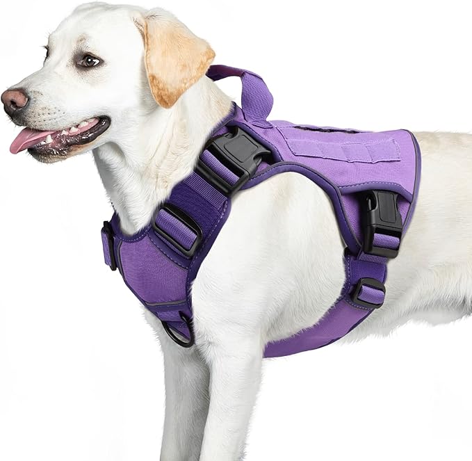 WINGOIN Purple Tactical Dog Harness Vest for Small Dogs No Pull Adjustable Reflective K9 Military Dog Service Harnesses with Handle for Walking, Hiking, Training(S)