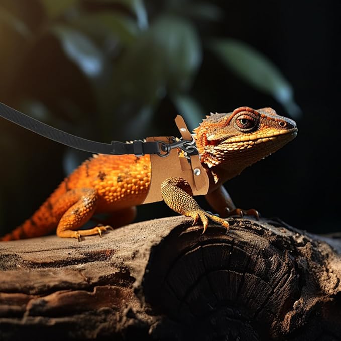 3 Pack Bearded Dragon Leash and Harness Set,Three Sizes Bearded Dragon Harness and Leash,Adjustable,Suitable for Small Reptiles (Brown)