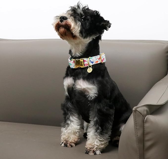 Dinosaur Summer Cotton Dog Collar with Metal Buckle Gift Collar for Small Medium Large Girls or Boys Dogs Cute Durable Comfortable Pet Collars