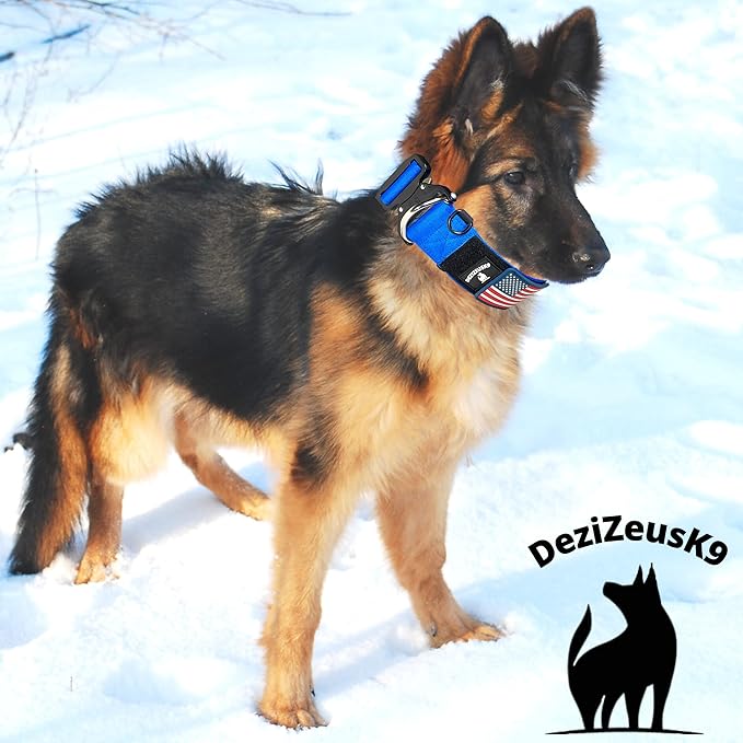 Tactical Dog Collar 2 Inch Wide Thick Heavy Duty Military Style with Metal Buckle, Adjustable for Medium - Large Breeds, Durable K9 Training Gear with Patch Area, USA Flag Patch, Strong and Secure Fit