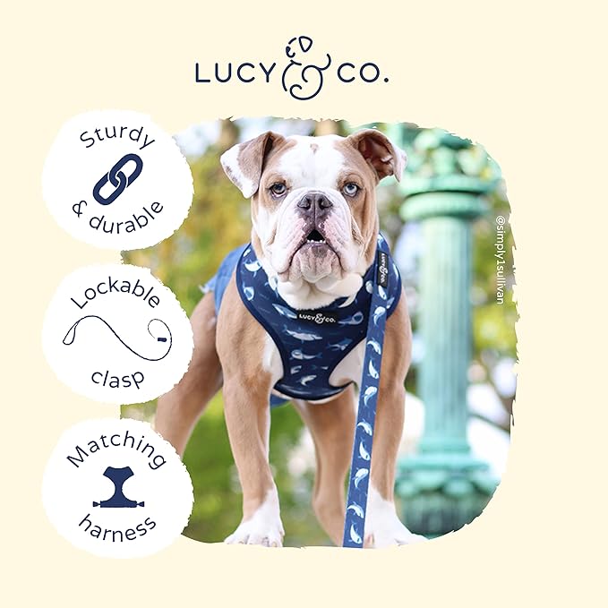 Lucy & Co. 5 Foot Designer Dog Leash – Puppy Leash – Pet Accessories & Supplies (Shark Attack, Small)