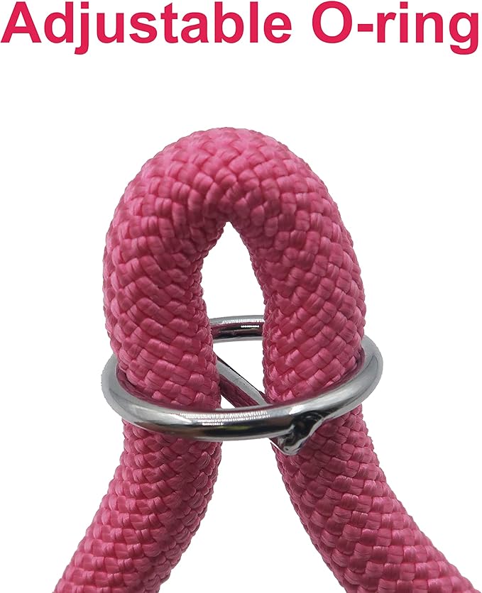 Braided Round Martingale Dog Collar, Training Collar with Slidable Stop Ring - Ideal for Small Dogs (S(1/3") - 16" Long, Pink)