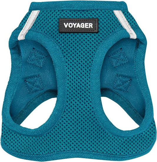 Voyager Step-In Air Dog Harness - All Weather Mesh, Reflective, No Pull Harness for Small, Medium Dogs, Cats - Secure with Hook & Loop Fastener, Buckle, Double D-Rings - Turquoise, XXXS