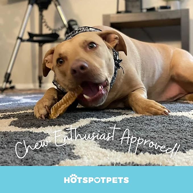 hotspot pets Premium Beef Trachea for Dogs 6" Strips Split -(20 Pack) All Natural Grass-Fed Beef Dog Chews, Rich in Glucosamine Chondroitin for Joint Health, Single Ingredient No Rawhide Dog Treats