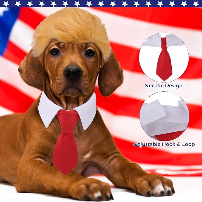 EXPAWLORER 3 Pack Funny Dog Costume - Pet Clothes with Collar Tie, Cat Dog Wig Toy Holiday Apparel for Party Small Medium Dogs