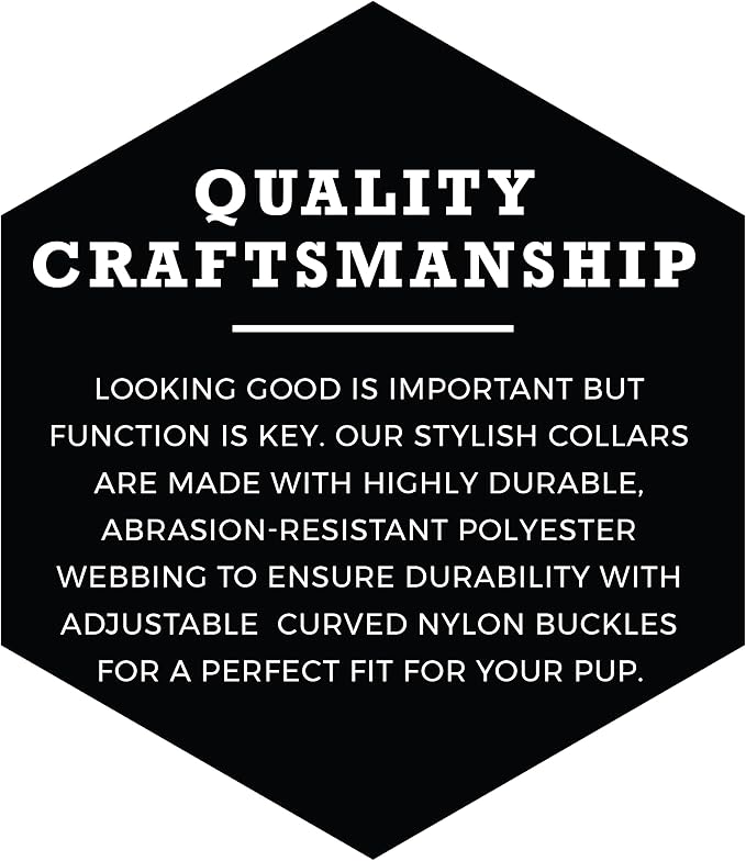 Wolfgang Heavy Duty, Adjustable Dog Collar with Quick Release Nylon Buckle for Walking & Training, LosMuertos Print, Small