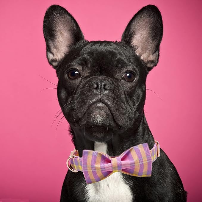 Girl Dog Collar, Pink Plaid Adjustable Dog Bow Collar Girl Pet Collar Bowtie Duarble Dog Collars for Small Medium Large Dog