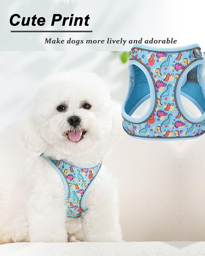 XXS Blue Dinosaur Pattern Dog Harness and Leash Set,No Escape Puppy Harnesses for Training Walking,Breathable Adjustable Puppy Vest for Small Medium Dogs, Cats (Blue, XXS)