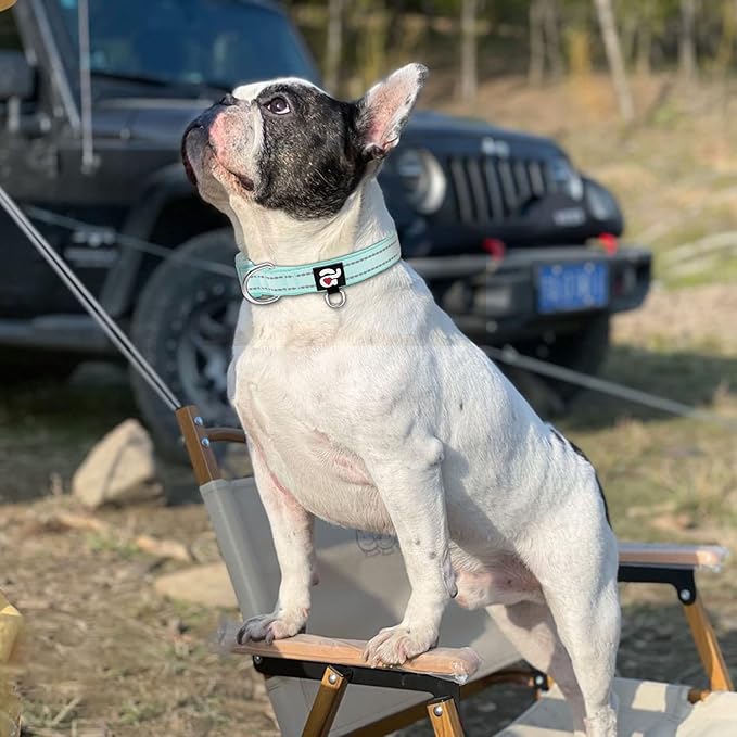 azuza Reflective Dog Collar,Soft Neoprene Padded Pet Collar with ID Tag Ring,Adjustable for Medium Dogs,Teal,M