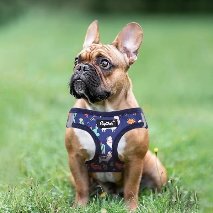 PUPTECK Dog Harness and Leash Set for Small Medium Dogs No Pull Step-in Soft Mesh Puppy Cat Vest Harnesses Reflective at Night, NavyBlue Print, S