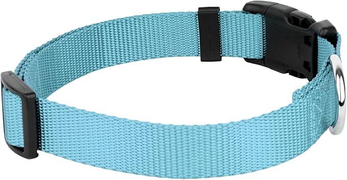Country Brook Petz - American-Made Dog Collar for Large, Medium, and Small Dogs and Puppies - Deluxe Heavy Duty Nylon in 33 Dazzling Colors (Medium, 3/4 Inch Wide, Ocean Blue)