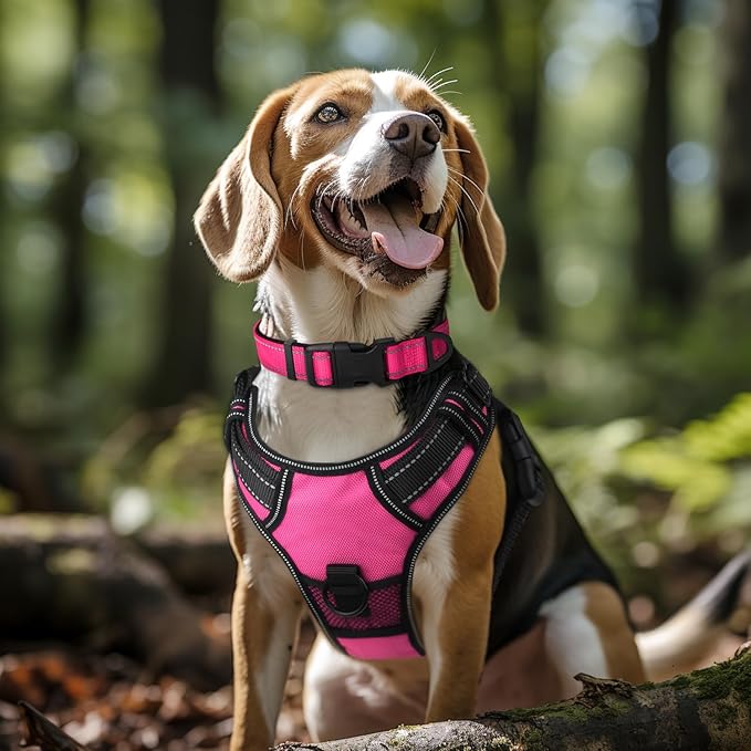 Joytale Reflective Dog Collar,Soft Neoprene Padded Breathable Nylon Pet Collar Adjustable for Large Dogs,Hotpink,L