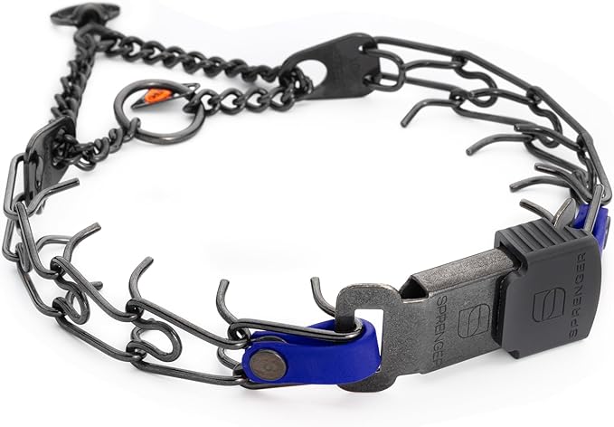Herm Sprenger Black Stainless Steel Dog Collar with Quick Release ClicLock Buckle and Biothane Insert Training Collar Made in Germany (Blueberry Royal, 16in x 2.25mm(Neck Size up to 13-14in))