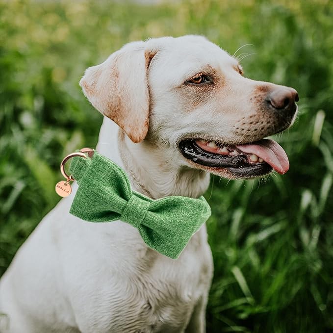 DOGWONG Hemp Cotton Dog Collar with Bow Green Pet Collar Durable Adjustable Puppy Collar for Small Medium Large Dogs